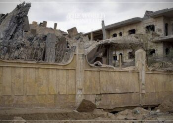 5 Killed in Drone Strike in Syria