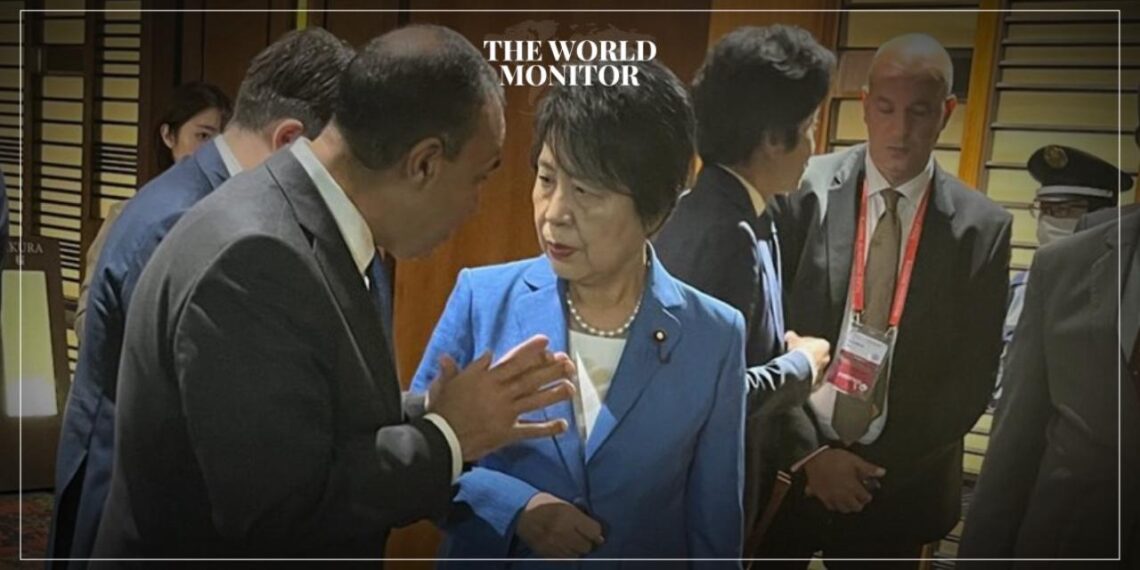 Egypt & Japan Agree on Urgent Measures to Prevent Regional Escalation