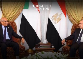 Egypt & Sudan Discuss Regional Crisis Solutions