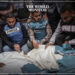 173 Journalists Killed in Israeli Strikes on Gaza