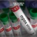 Saudi Arabia Enhances Monkeypox Precautions