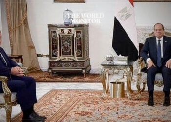 German President Praises Egypt's Role in Israel-Hamas Ceasefire Efforts