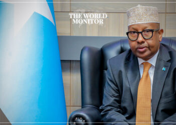 Somalia Highlights Egypt's Historical Support