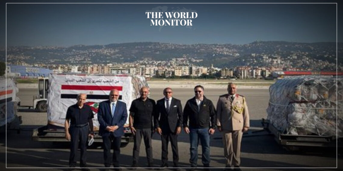 Egypt Delivers 22 Tonnes of Medical Supplies to Beirut