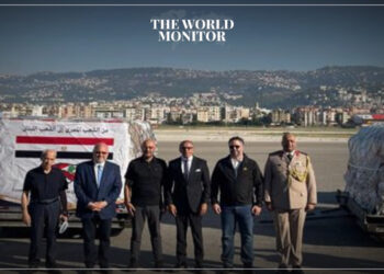Egypt Delivers 22 Tonnes of Medical Supplies to Beirut
