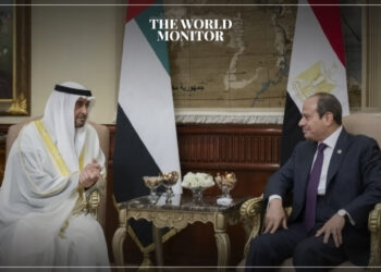 Egypt & UAE Discuss Strengthening Cooperation