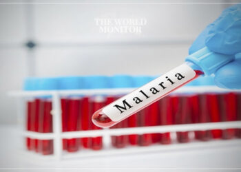 Egypt Receives International Certification for Malaria-Free Status
