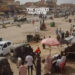 Sudanese Authorities Halt Medical Convoys from Egypt