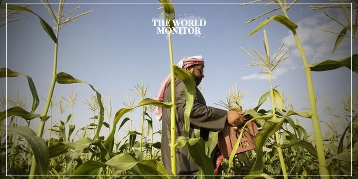 Saudi Arabia & Iraq Sign Joint Agricultural Cooperation Agreement